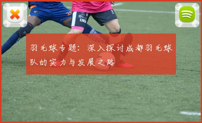 羽毛球专题：深入探讨成都羽毛球队的实力与发展之路
