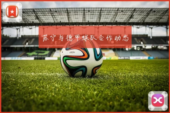 苏宁与德甲球队合作动态