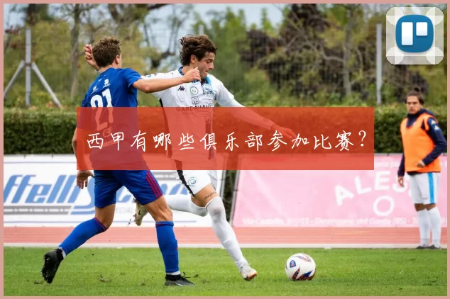 西甲有哪些俱乐部参加比赛？