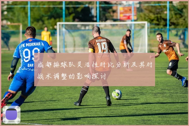 成都排球队灵活性对比分析及其对战术调整的影响探讨