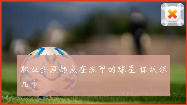 职业生涯起点在法甲的球星 你认识几个
