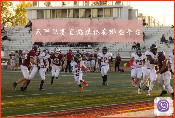 西甲联赛直播媒体有哪些平台
