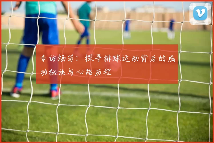 专访杨芳：探寻排球运动背后的成功秘诀与心路历程