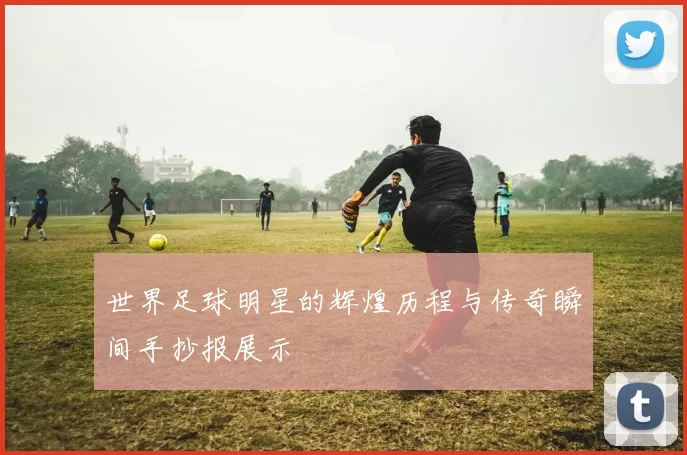 世界足球明星的辉煌历程与传奇瞬间手抄报展示