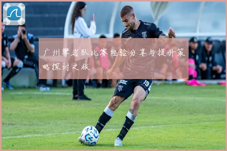广州攀岩队比赛经验分享与提升策略探讨之旅