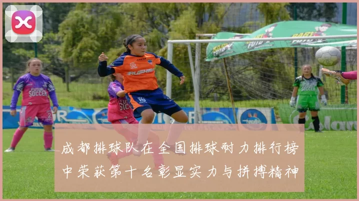 成都排球队在全国排球耐力排行榜中荣获第十名彰显实力与拼搏精神